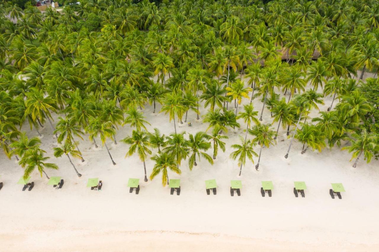 Oceanica Resort Panglao, Bohol Ngoại thất bức ảnh Palm trees on the beach