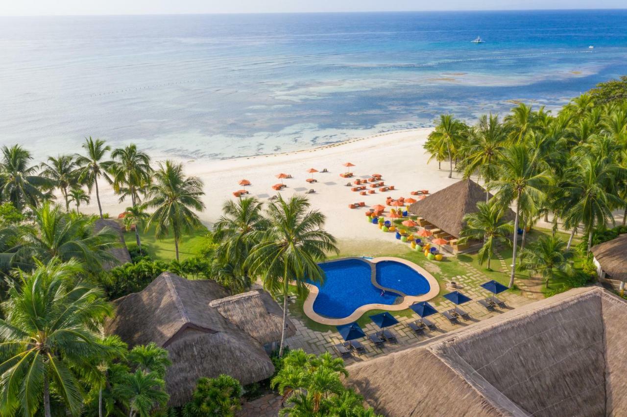 Oceanica Resort Panglao, Bohol Ngoại thất bức ảnh Aerial view of the beach at the resort