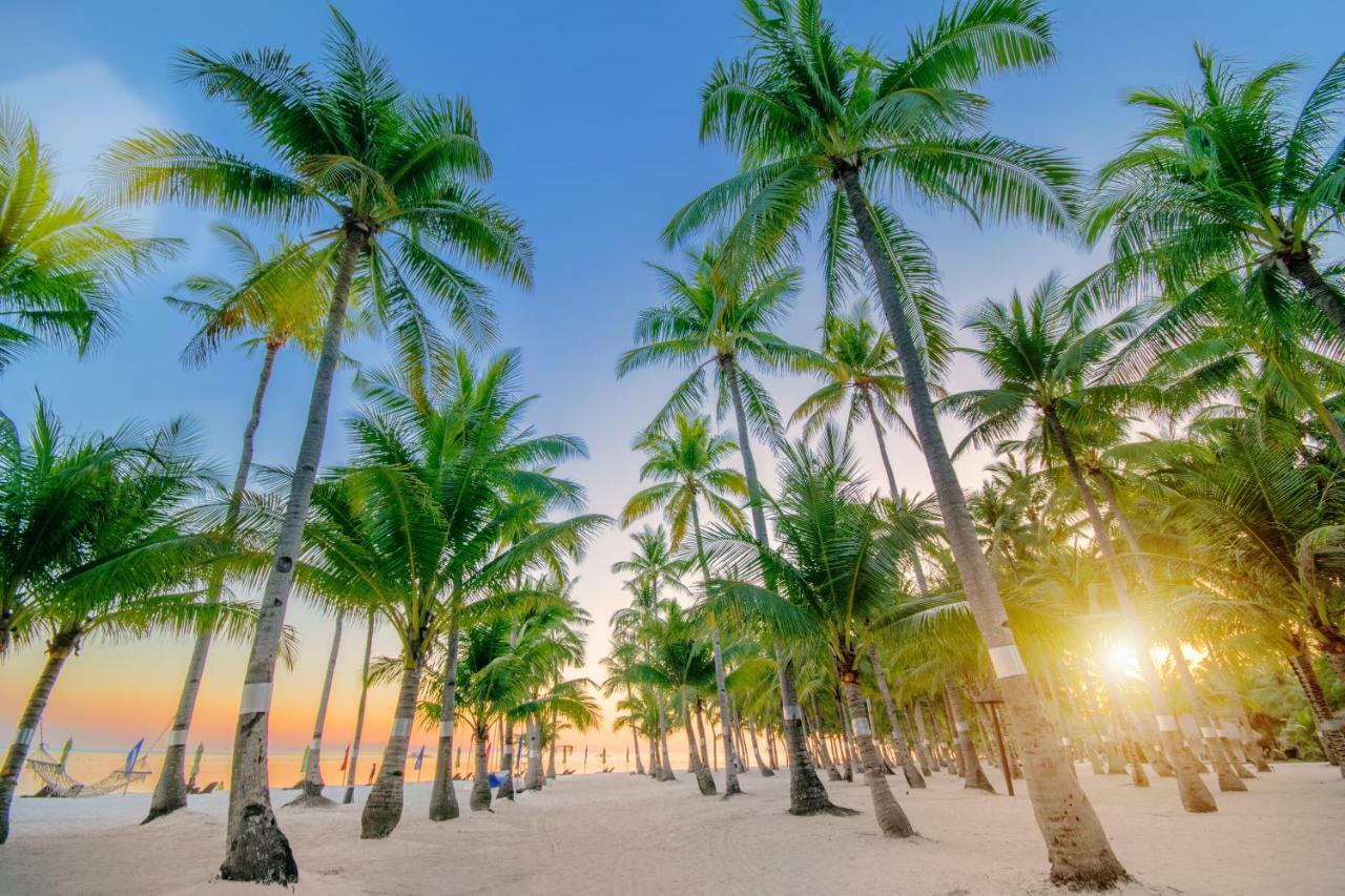 Oceanica Resort Panglao, Bohol Ngoại thất bức ảnh Palm trees on a beach