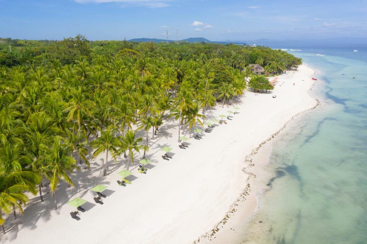 Oceanica Resort Panglao, Bohol Ngoại thất bức ảnh Aerial view of the beach