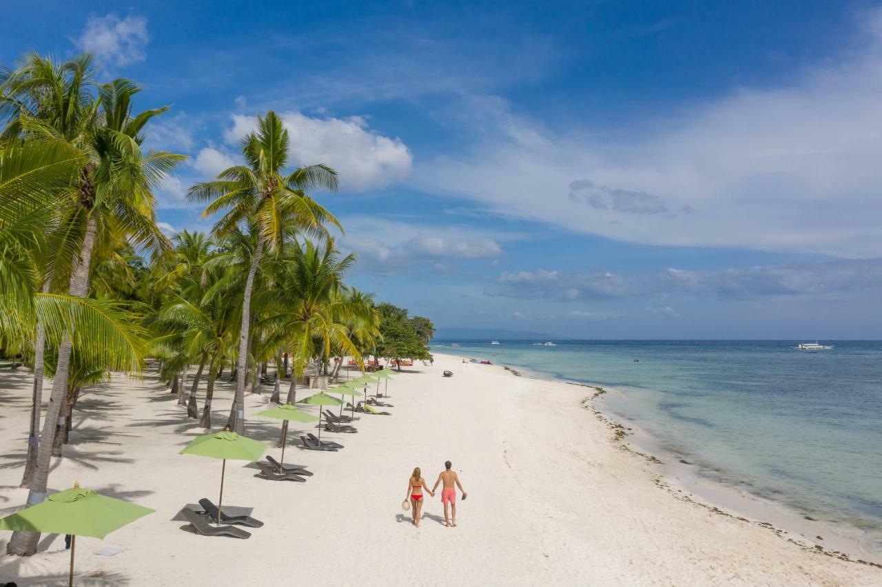 Oceanica Resort Panglao, Bohol Ngoại thất bức ảnh Beach at the resort